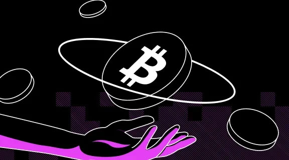 如何获得比特派开发者授权？